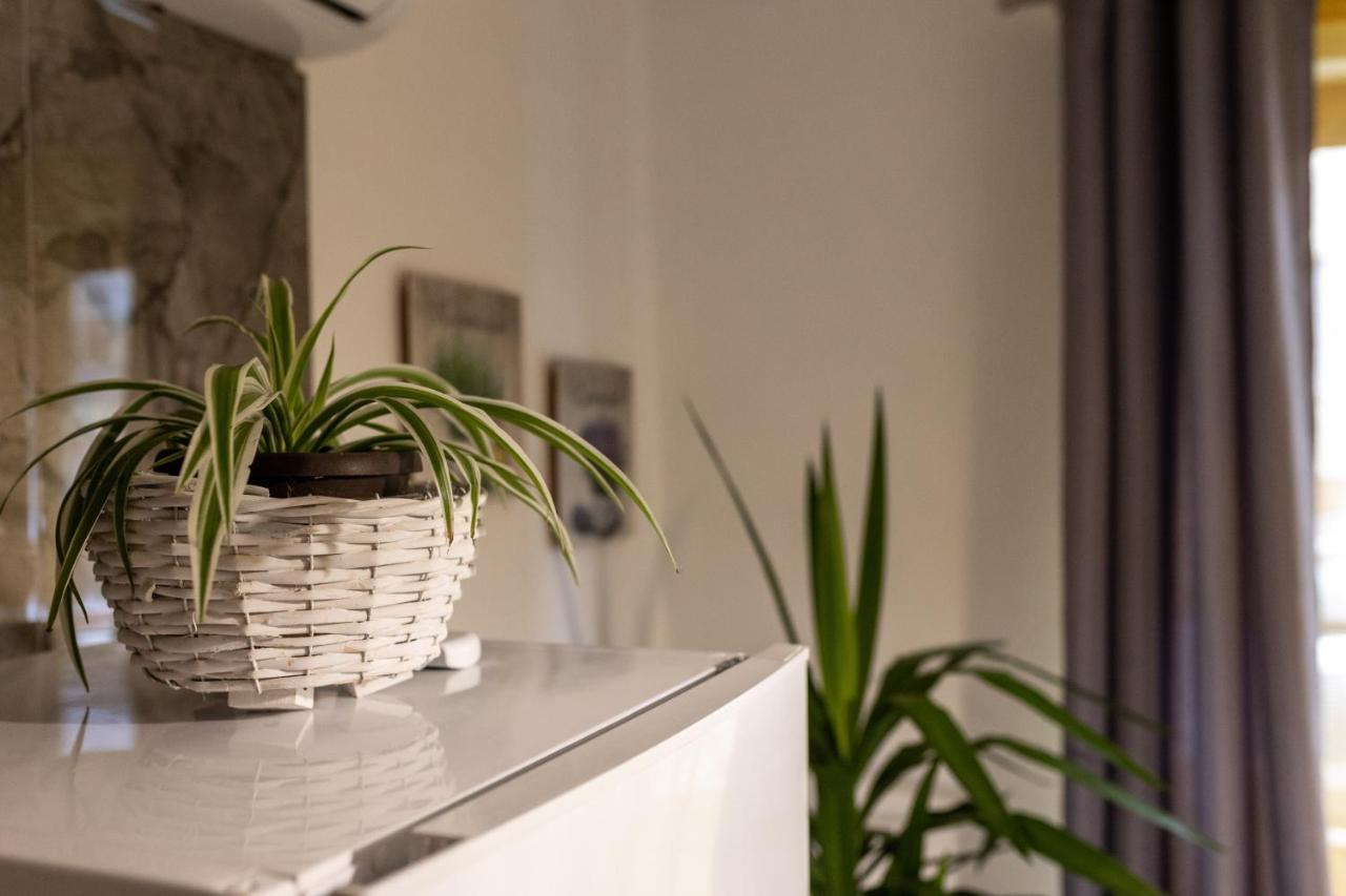 Studio Apartman Planb, Self Check In 奥西耶克 外观 照片